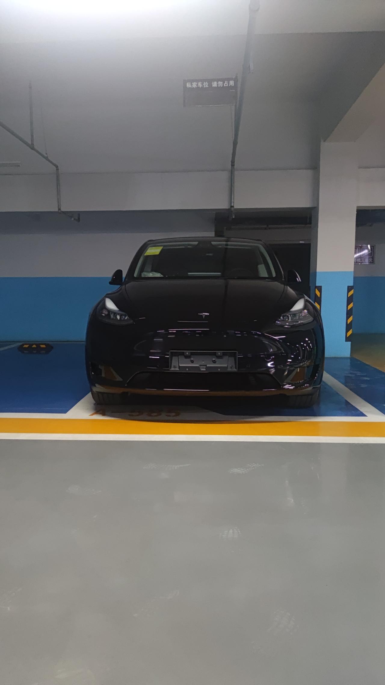 Modely三个月车主感受