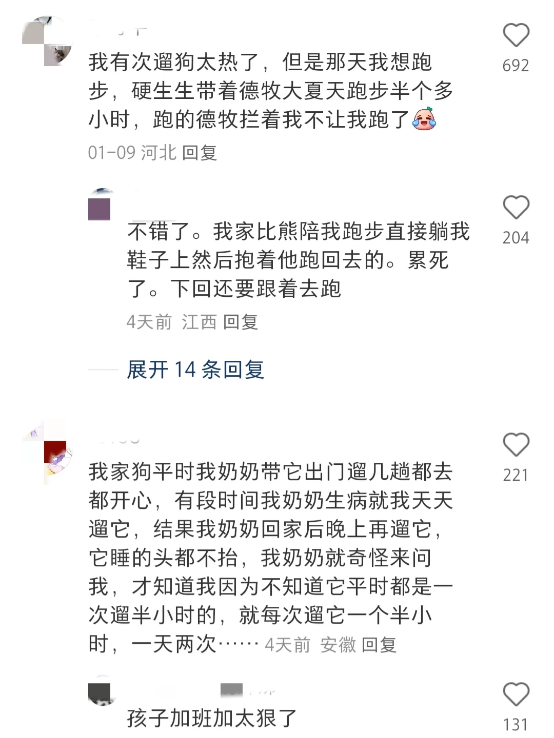 把狗溜怂是种什么样的体验？