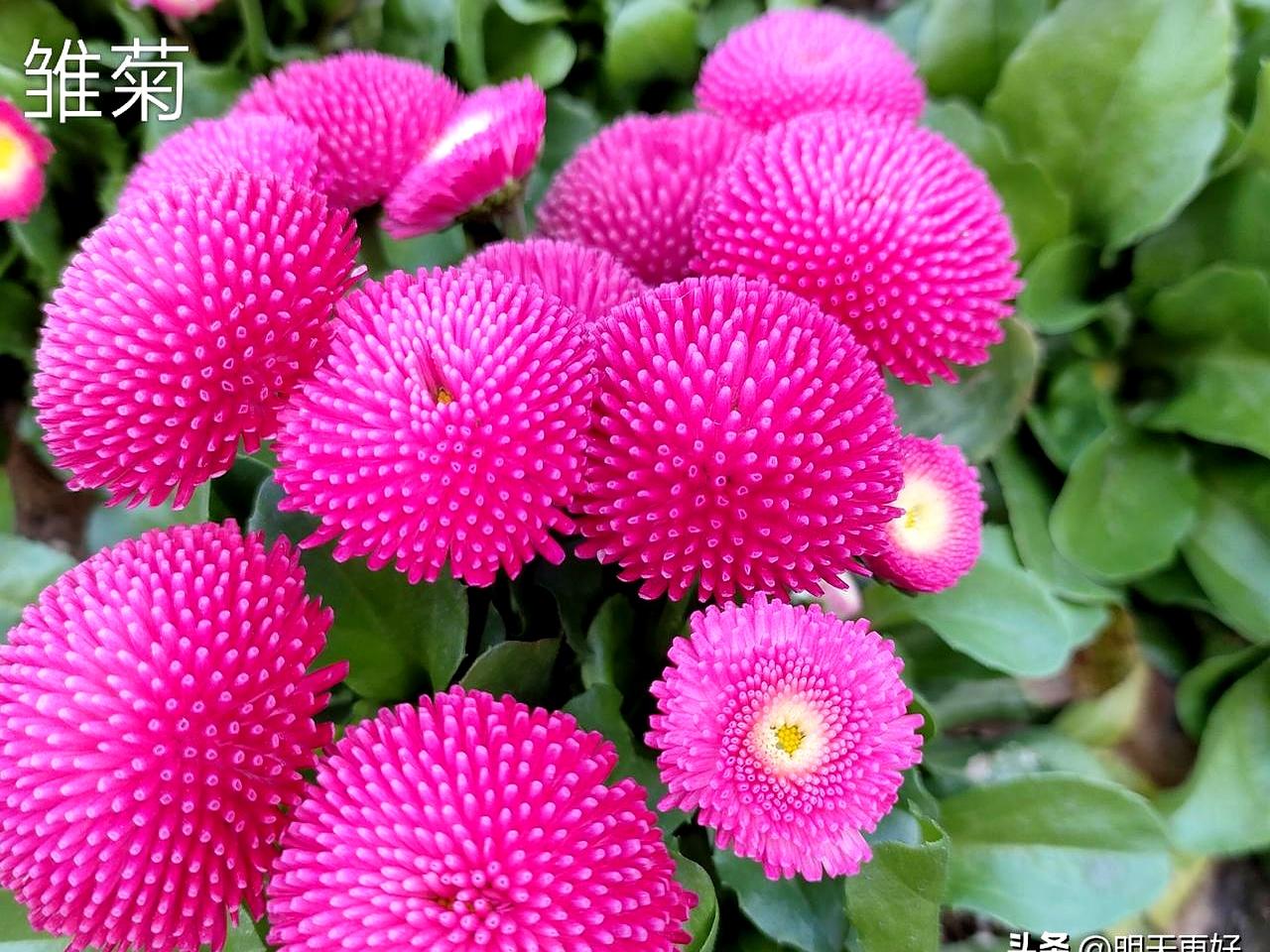 癌症三十几年愣是没把他带走，阎王见了都得绕道走！说白了，自律这玩意儿是真能救命