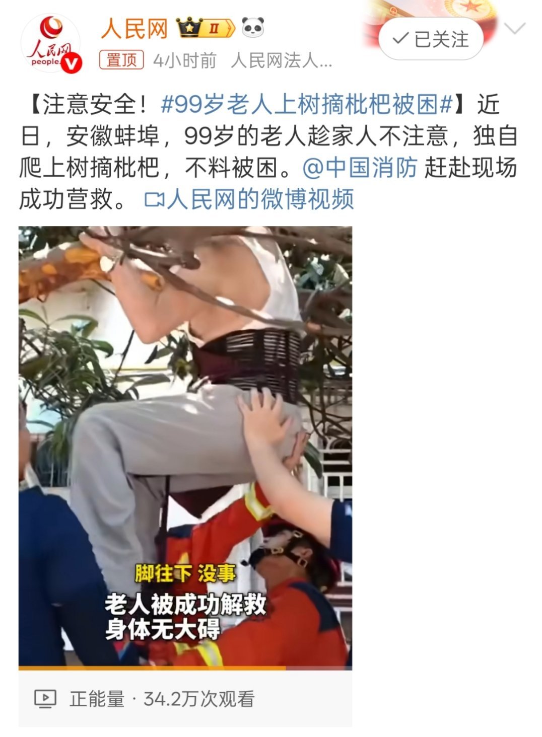 99岁老人上树摘枇杷被困99岁老大爷皆能爬墙上树我这19岁的妙龄美少女走两步就气