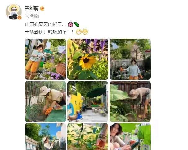 才36岁的黄雅莉已经活成了大部分人向往的样子了锄地，种花，种菜，施肥，搭架，