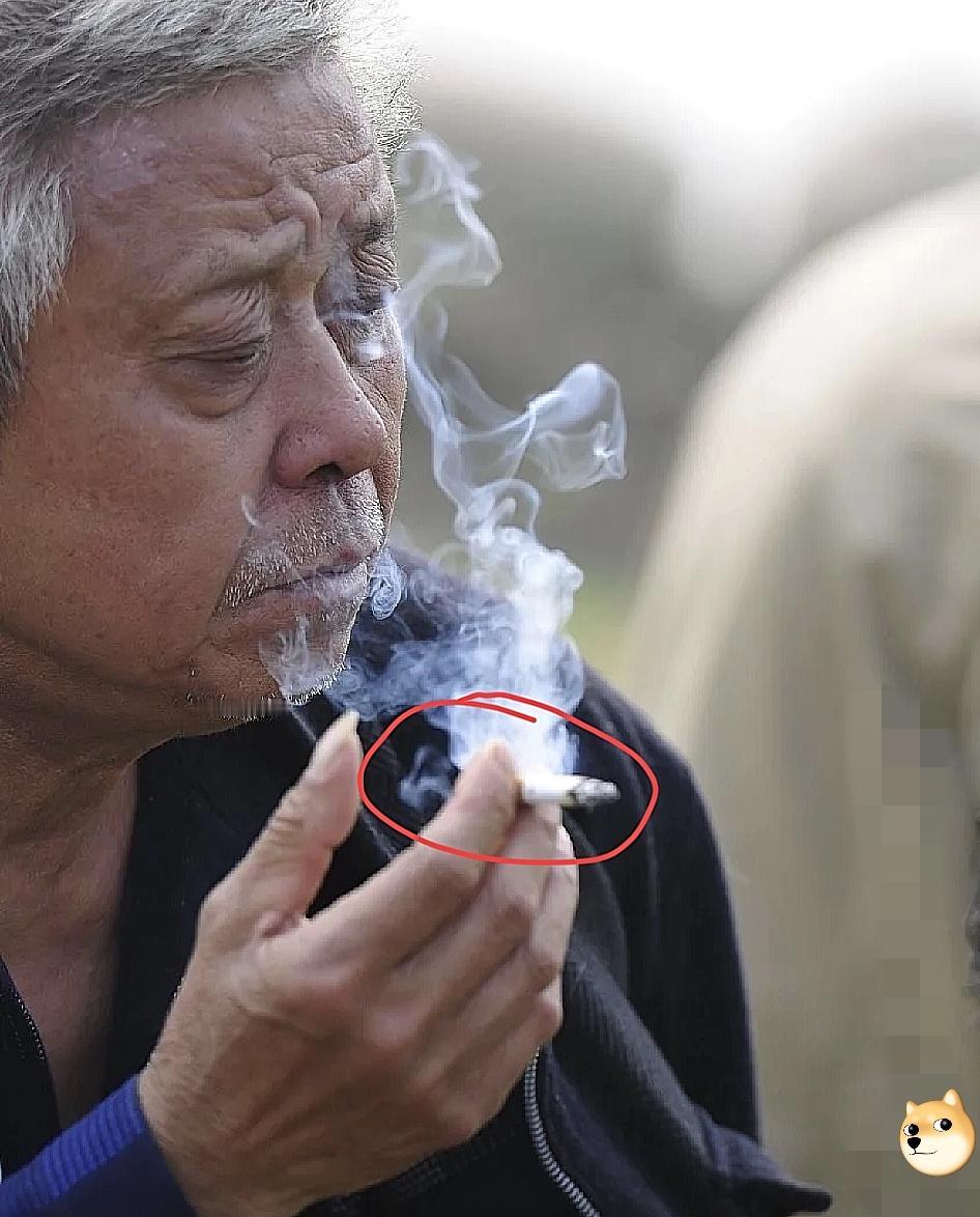 女儿买了新房，请父亲来家里做客，父亲刚点上烟，女儿一句“爸，别抽了，烟味对孩子