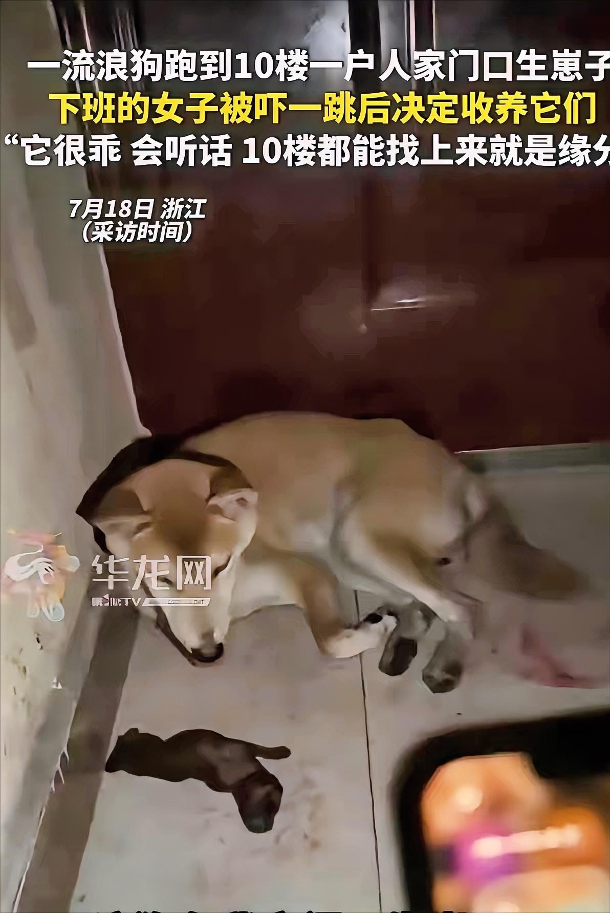 这就是缘分！7月19日报道浙江，家住十楼的女子下班回家，刚到门口就闻到一股血腥味