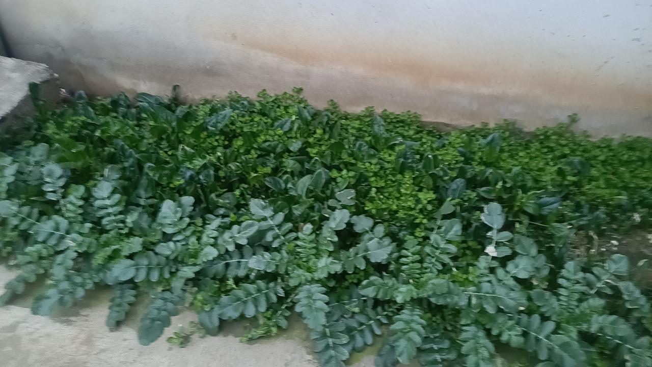 你是否也曾在会议中听到那些“你太拼了”的赞许，却心里暗自苦笑？每天奔波在公司与家