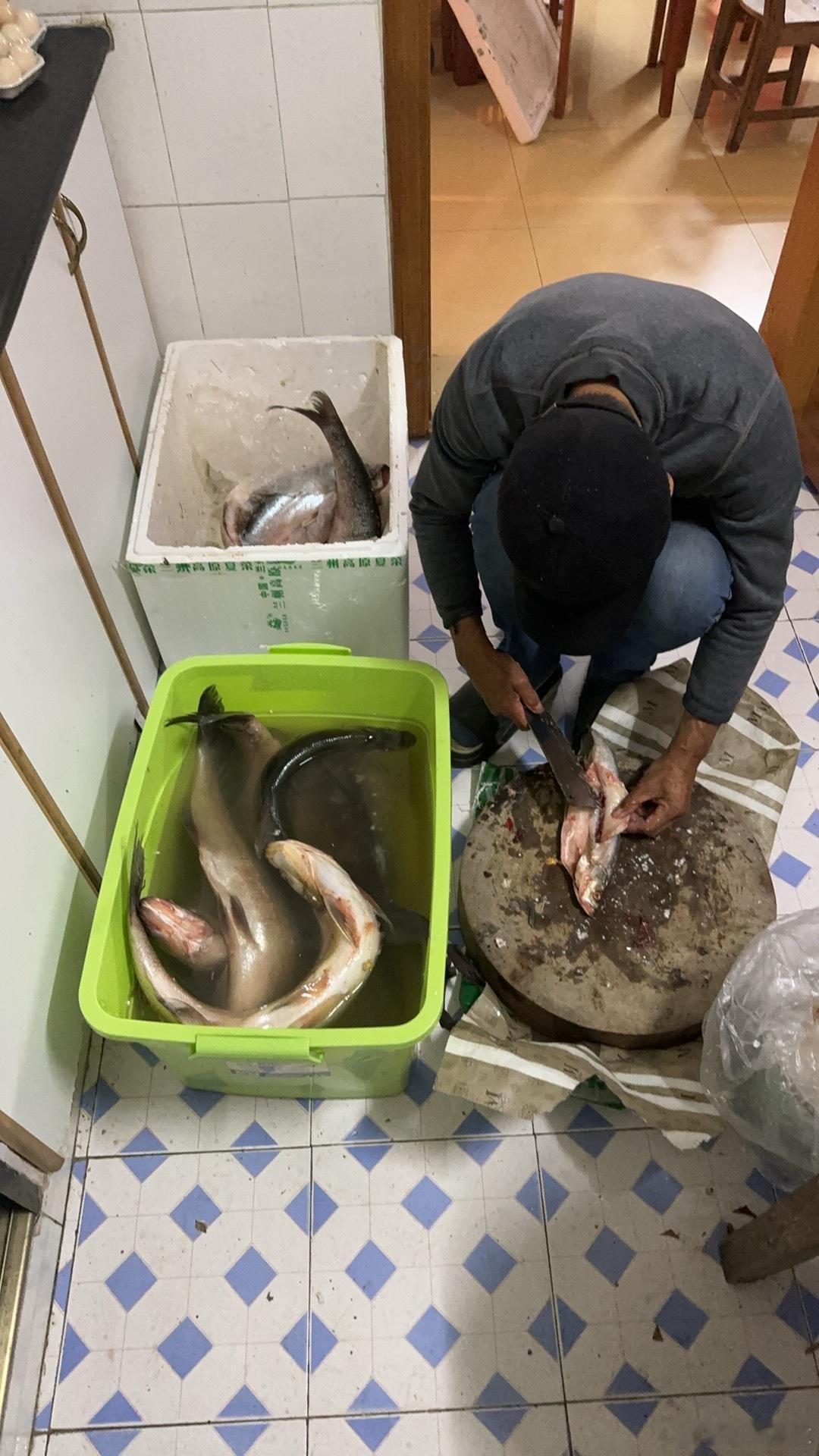 昨天把武汉钓的鱼带了一大半回去还送了一部分亲戚留了一部分给我老爹他整整杀