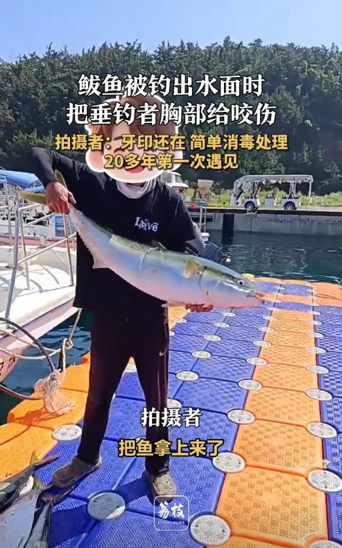 “鱼还咬人？”辽宁大连，男子在海边钓鱼时钓到一条大鲅鱼，钓到大鱼自然要一起合影拍