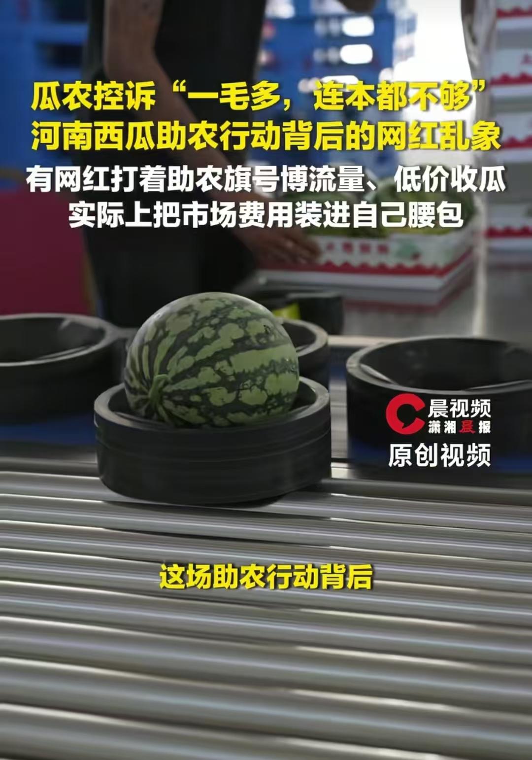 河南瓜农被坑惨了，一些网红打着“助农”的旗号去河南低价收购西瓜，砍价砍到