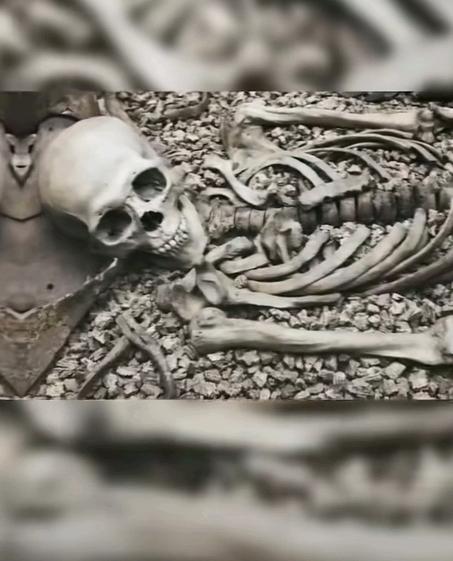 1068具遗骸，整整在土里埋了83年。就在前两天，河南舞钢挖出来的。如果不动土，