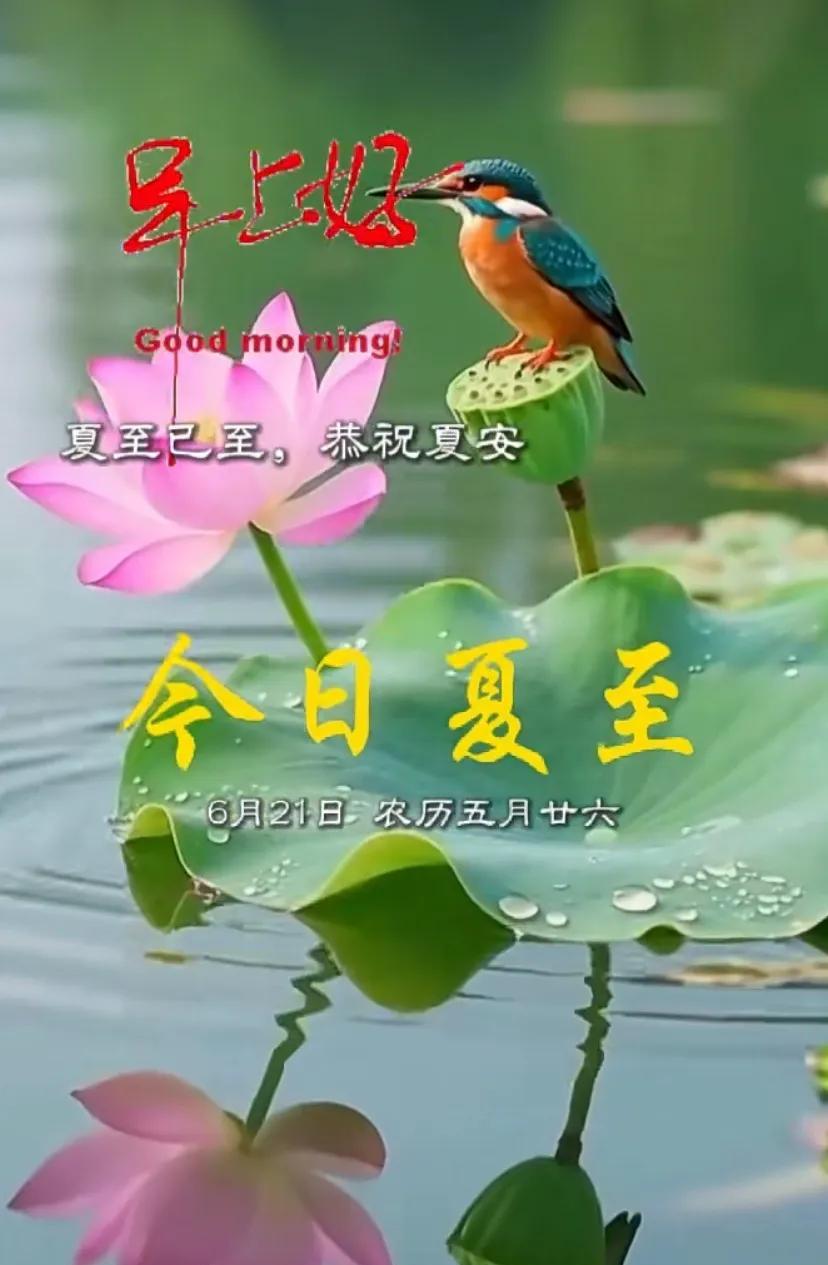 夏日至，快乐至！今天夏至，祝你平安喜乐，身体健康！夏至快乐！