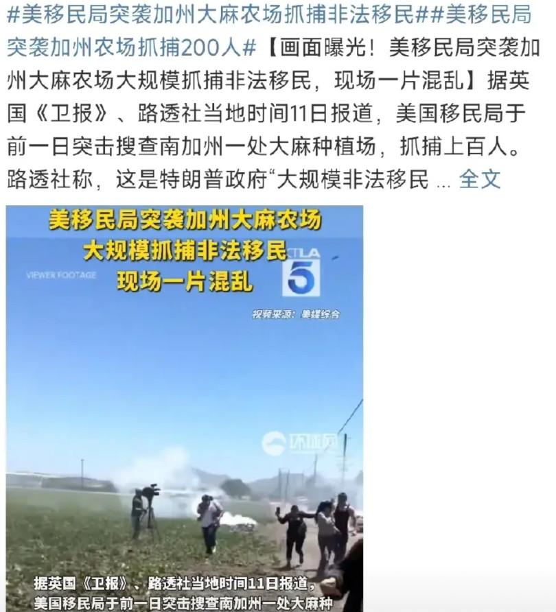 特朗普是个实在人！7月11日一天，美国移民执法局就在加州农场抓捕了正在地里劳
