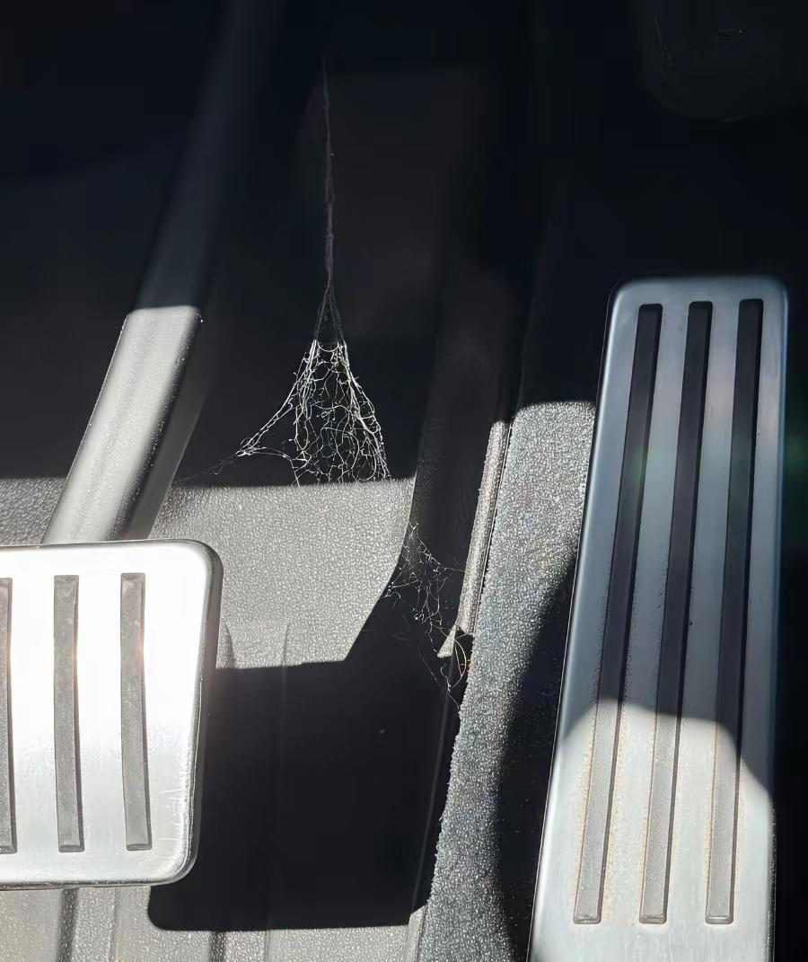 当用了特斯拉的FSD后…其实，单踏板模式，收油门即刹车，我首次用单踏板模式开