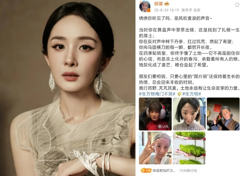 演员最后拼的，真的是文化底蕴！不信你看杨幂，她用实力打了多少人的脸，又被她的