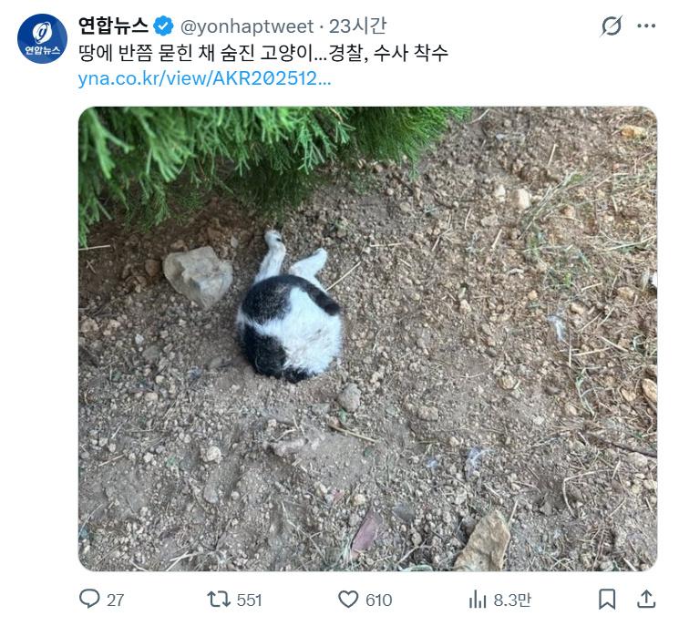 近日，韩媒报道了一起虐猫事件！釜山某大学校园内，一只猫，头朝下半截身上被埋进土
