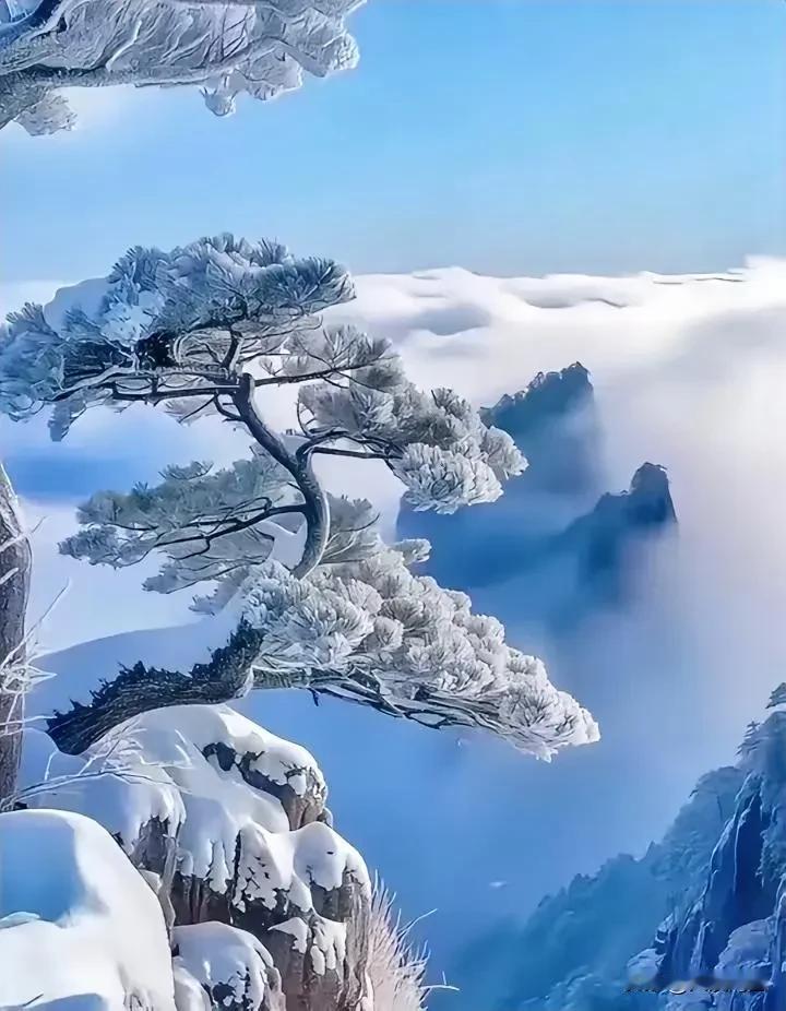 黄山的冬日，宛如一场绝美的视觉盛宴！“五岳归来不看山，黄山归来不看岳”，此言着实