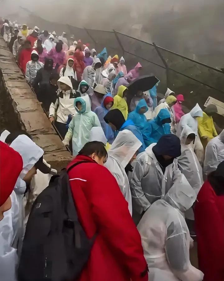 雨天爬泰山，没苦硬吃的乐趣，骡马假日受罪不，感觉是集体去服刑的，好像流放宁古塔，