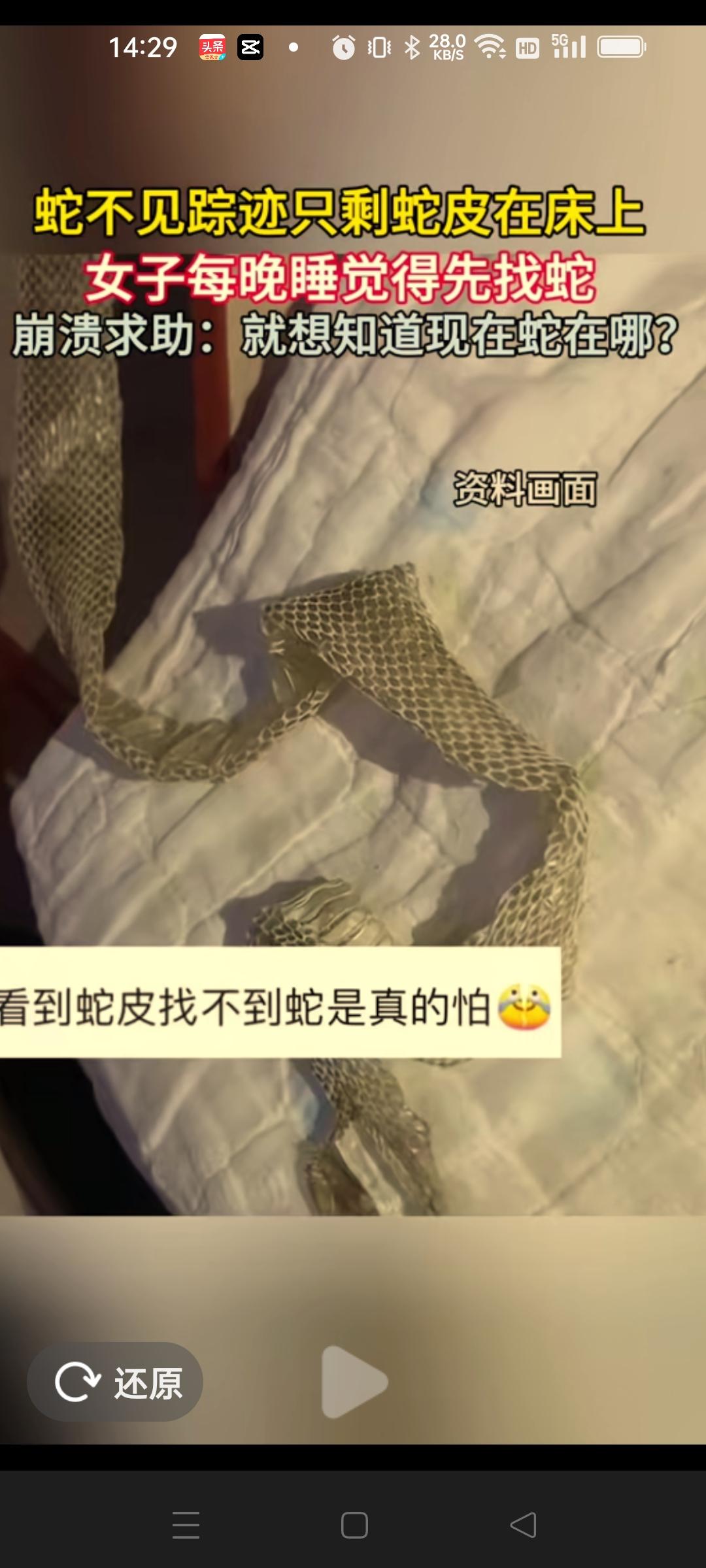 一名女士发现自家的床上蜕了一张大蛇皮。这是人不在家的时候，蛇爬到这里来蜕皮了。