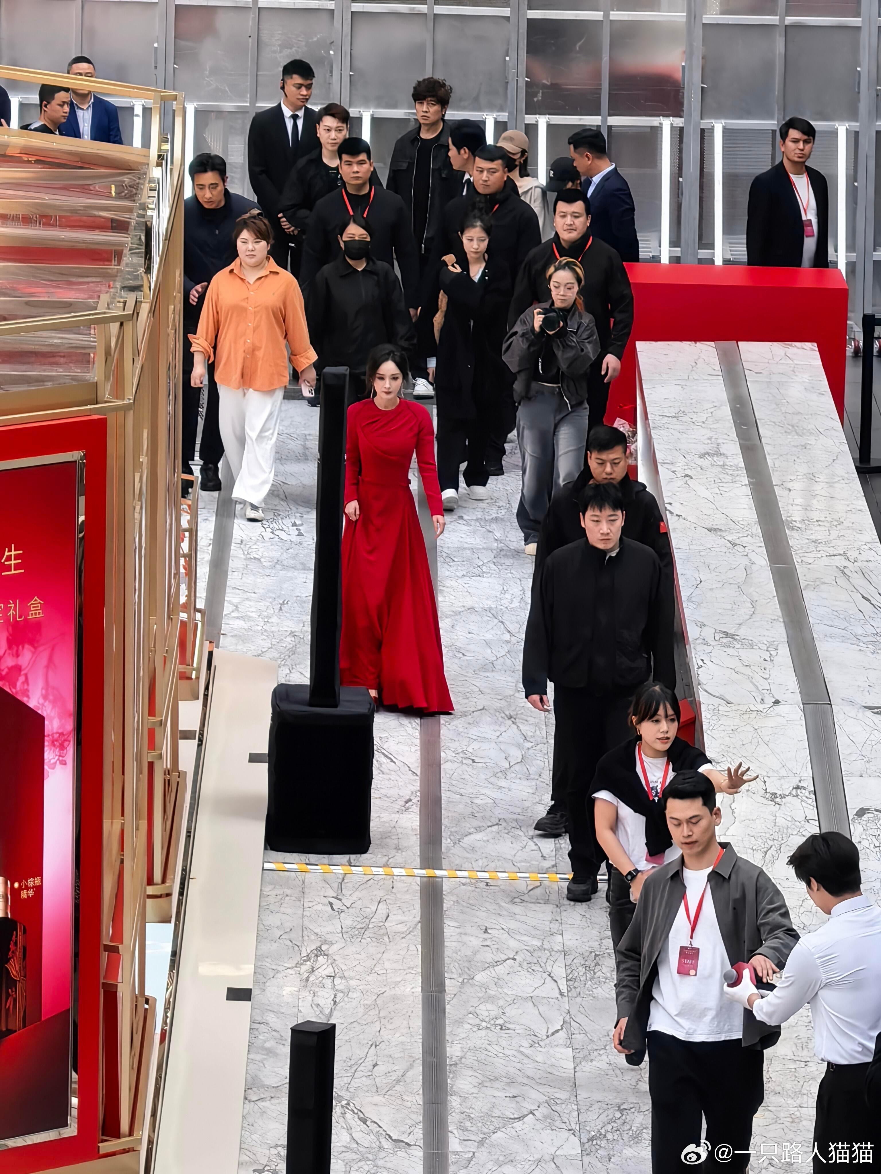 重回小时代的杨幂