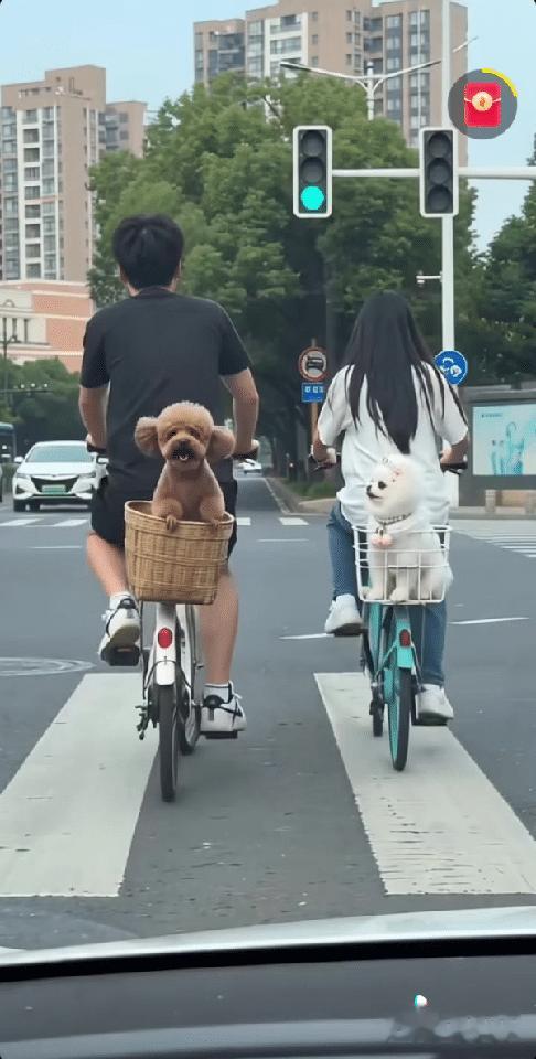 一不小心你俩亲上了