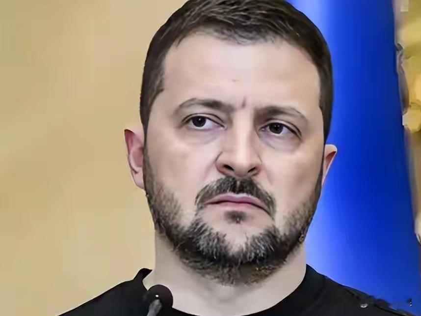 泽连斯基：我坚决不去！刚刚乌克兰总统泽连斯基表示让我去莫斯科与普京会面我