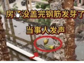 铁树开花，钢筋发芽，说出来都让人觉得不可思议！5月7日，广东，当地一位户主发现，