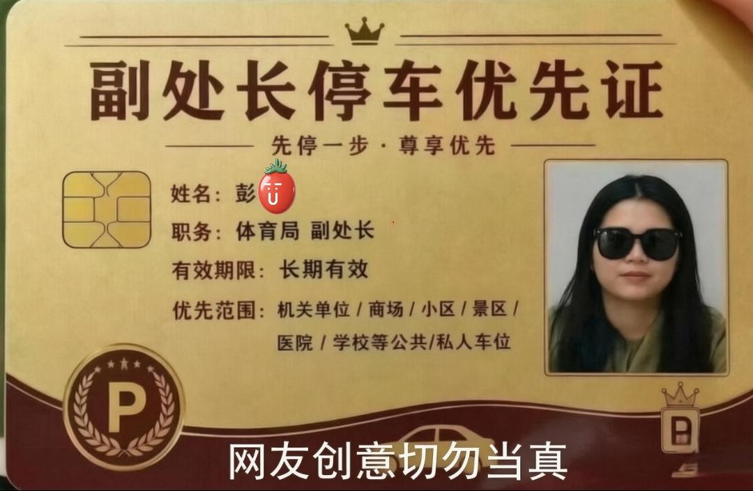 过头了！彭女士的官职没那么大，她确实是产业处副处长，但实际上只是副科级，和乡里的