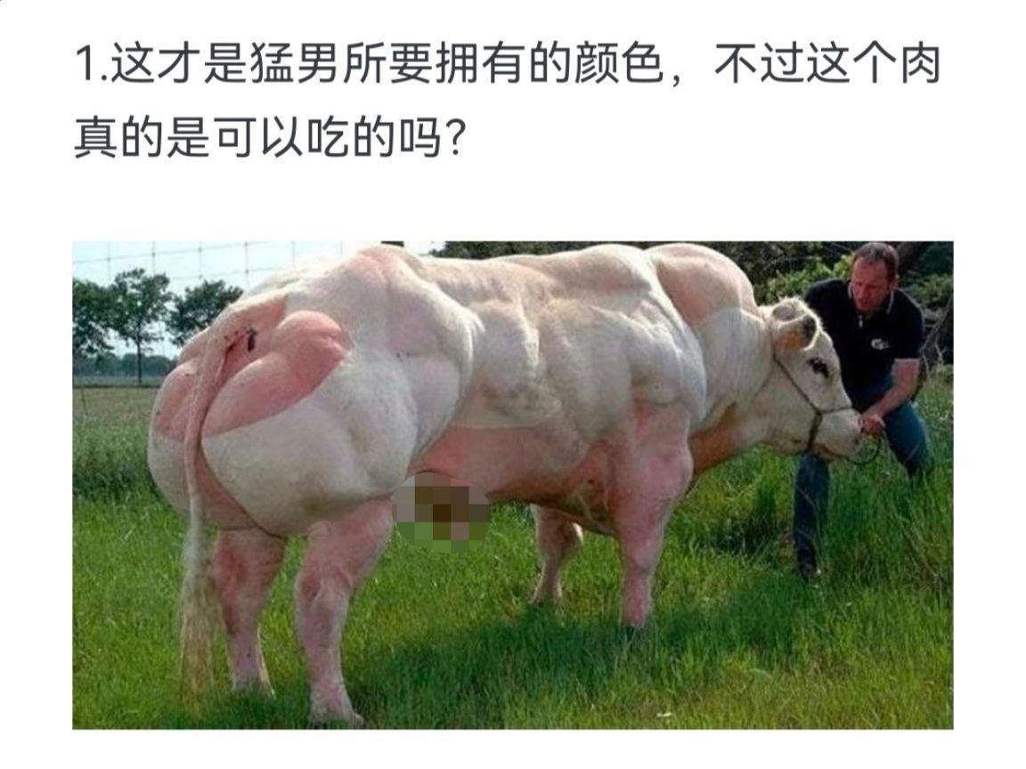 这才是猛男所要拥有的颜色，不过这个肉真的是可以吃的吗？
