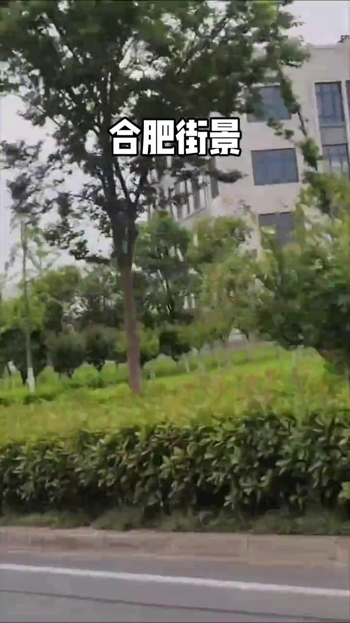 合肥街景。大家好，我是陈国新，68岁退休医生。2026年6月12号，我和吴先生