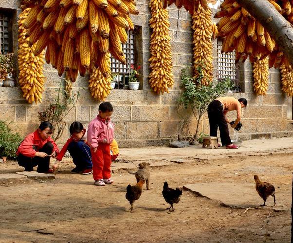 您提出的城乡养老金差距问题，触及了我国养老体系中一个结构性矛盾。这100多元与1