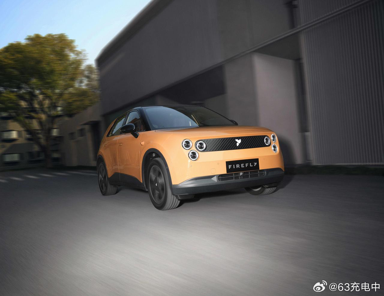 萤火虫这几张图拍的，能感受到预算确实有限