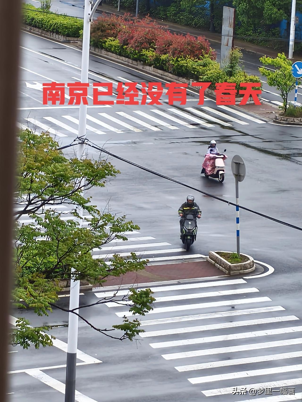 南京早已没有了春天，过了冬天直接就是夏天从小至今生活在南京快60年了，记忆中一