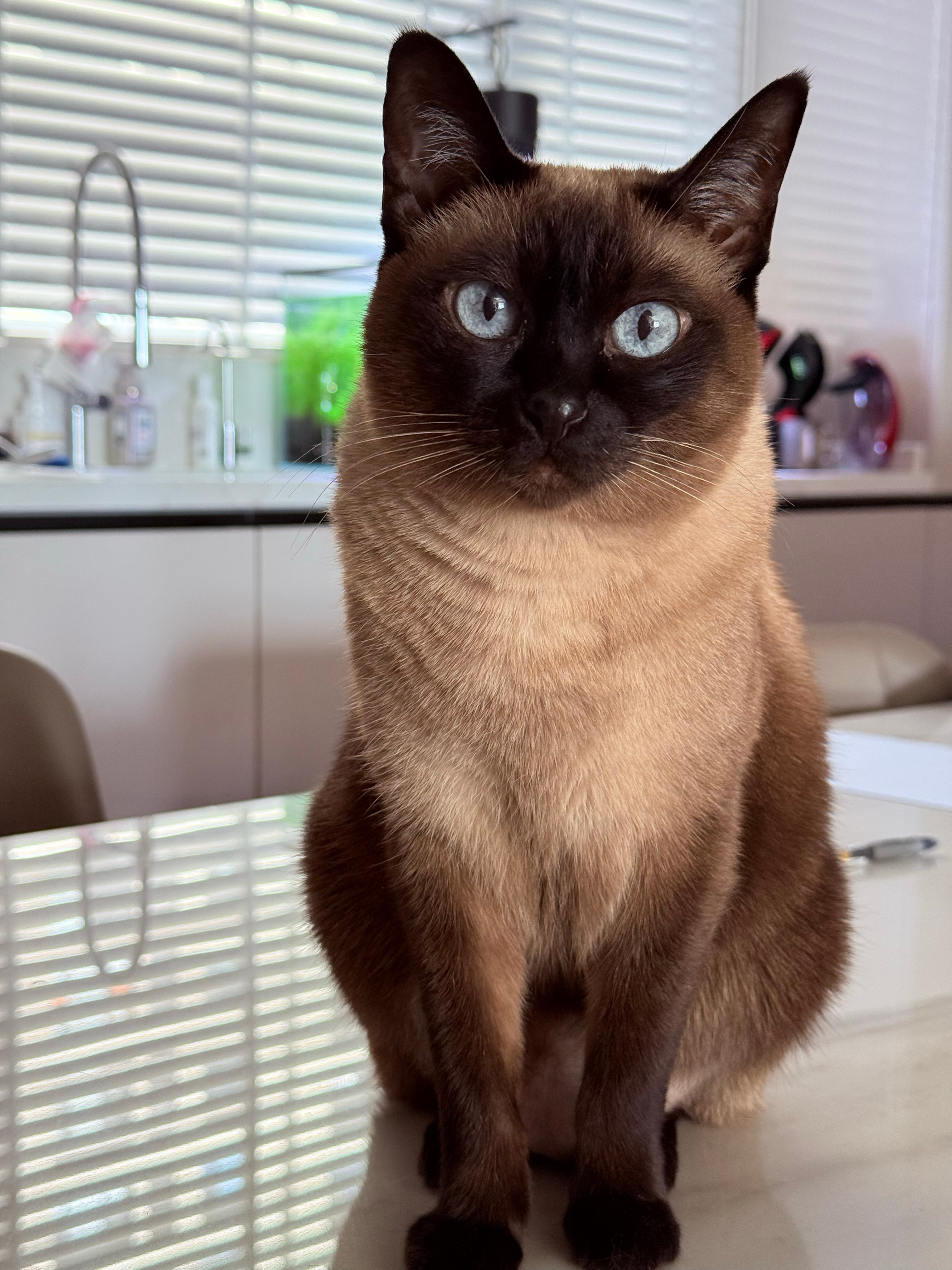 谁能想到椰宝的年纪是屁屁的零头