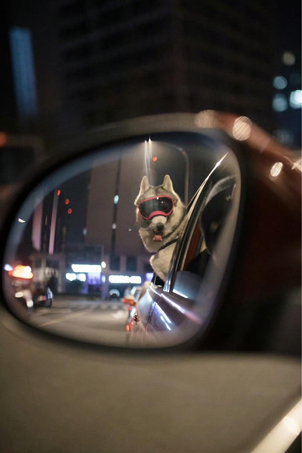 射手在花钱上面没什么概念，总会不断满足自我需求，射手花钱很少会看性价比，包括值得