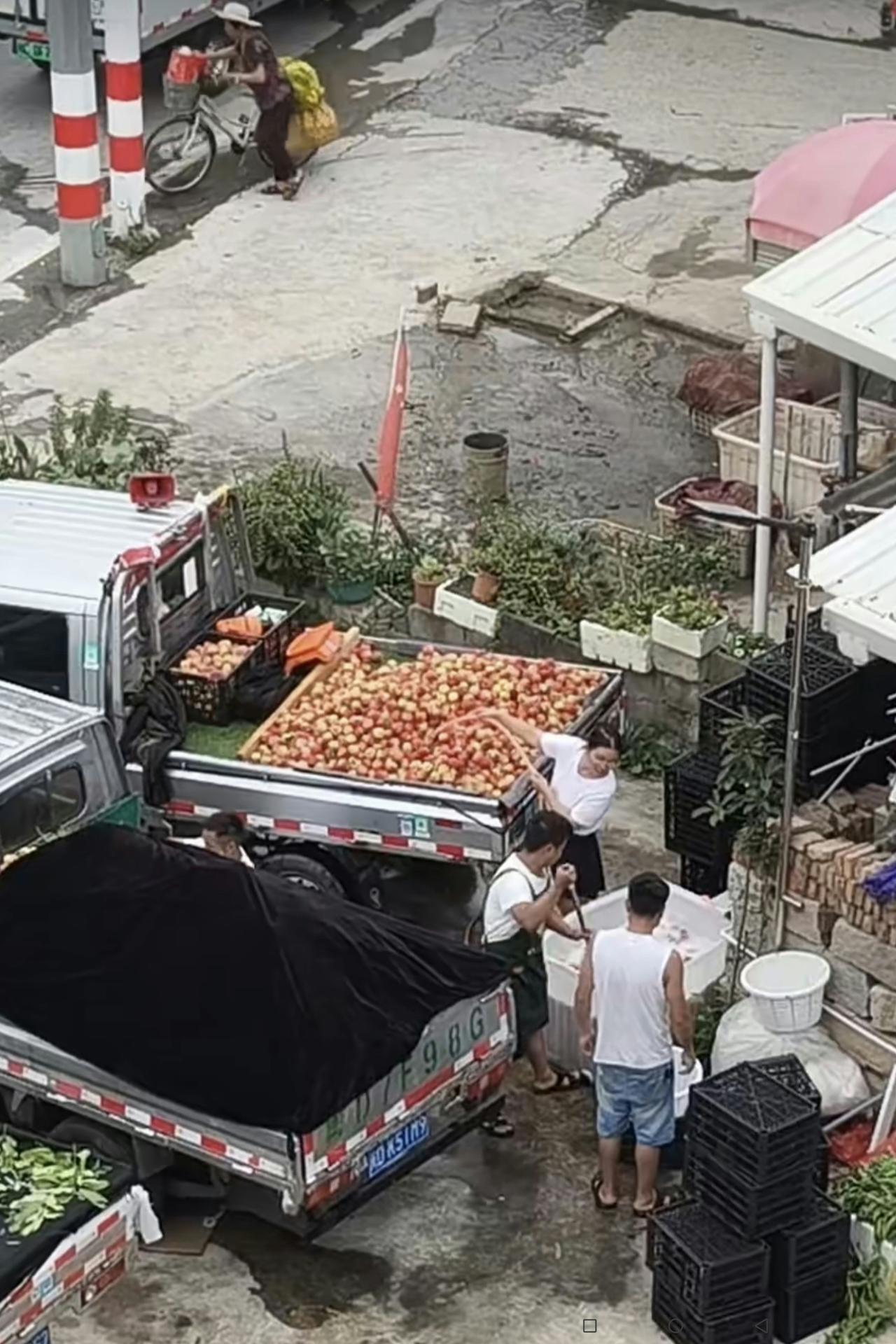 太可怕了！看看下面图中这两男一女在干什么？他们将苹果放入一个大白箱子里，箱子