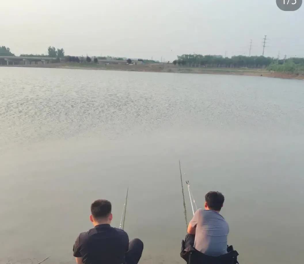 哪有什么天生冤家，不就是看谁给台阶下？我那姐夫夜钓误入私人鱼塘，灯一照，人当