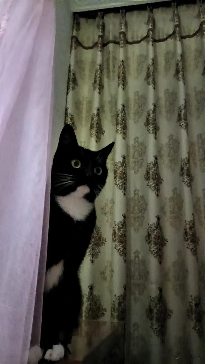 一个人的认知，到底和什么有关？认知从来不是天生自带的，而是后天塑造的——