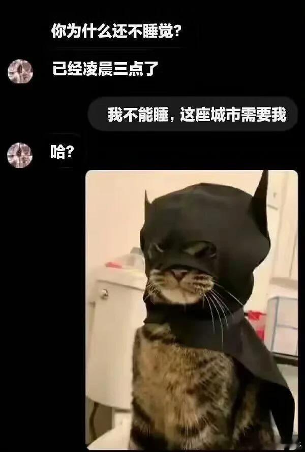 上班了memes迷译图