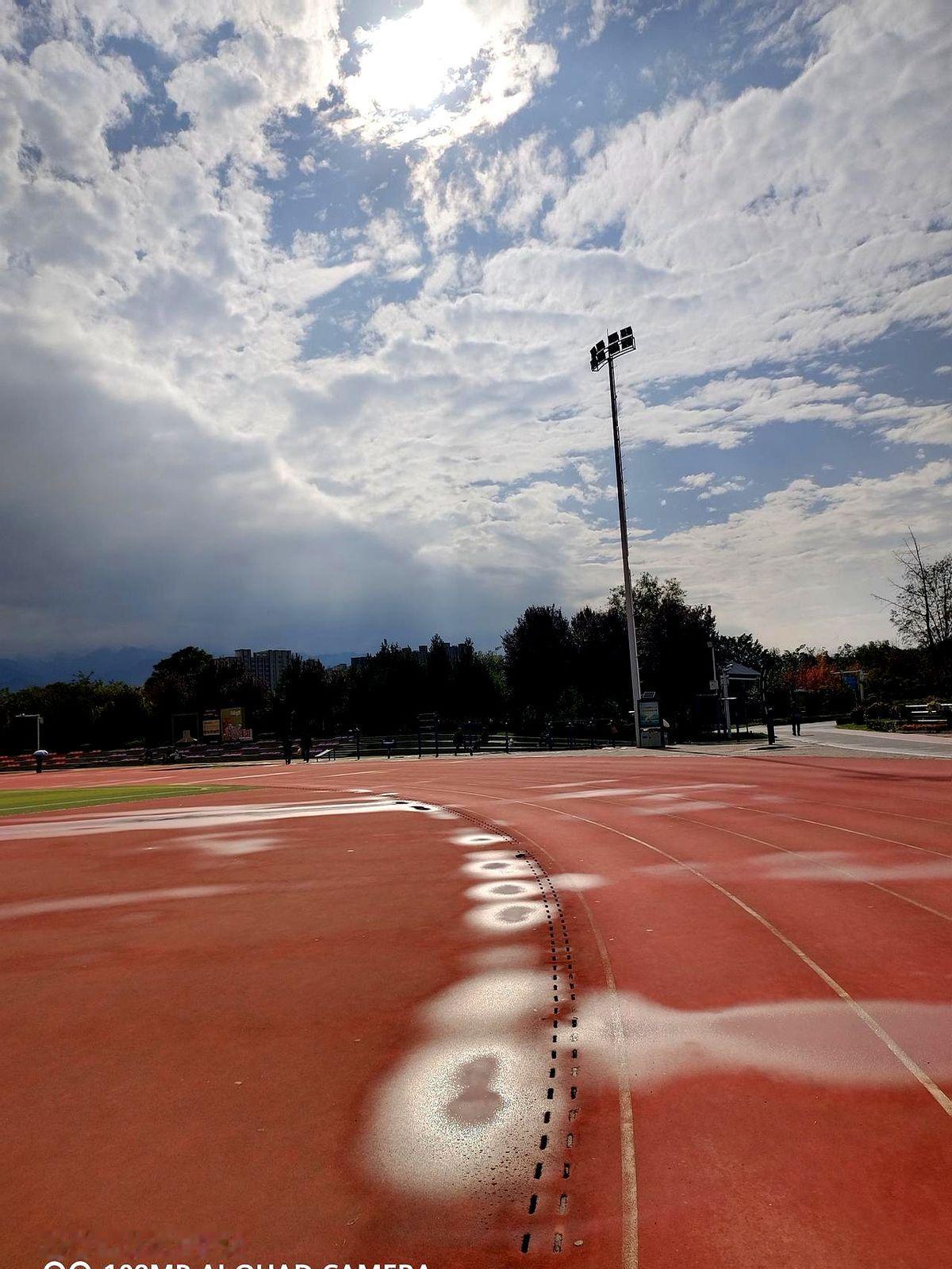 文章标题：建议我同时加练引体向上作者通过坚持俯卧撑锻炼获得进步，并受到网友鼓