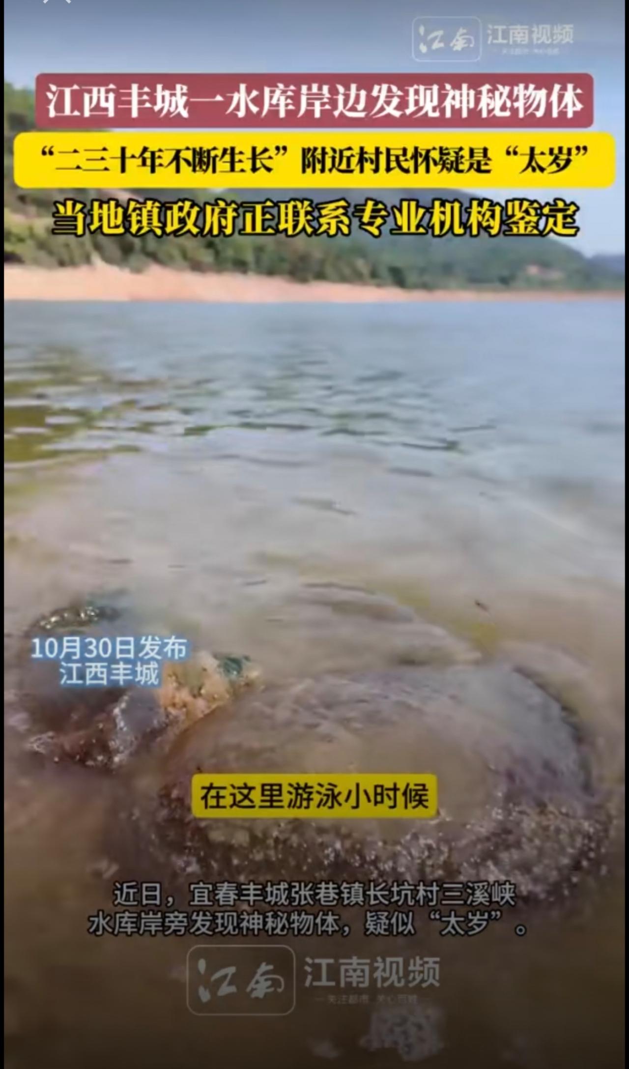 江西丰城一水库岸边发现神秘物体：二三十年不断生长；当地镇政府正联系专业机构鉴定。