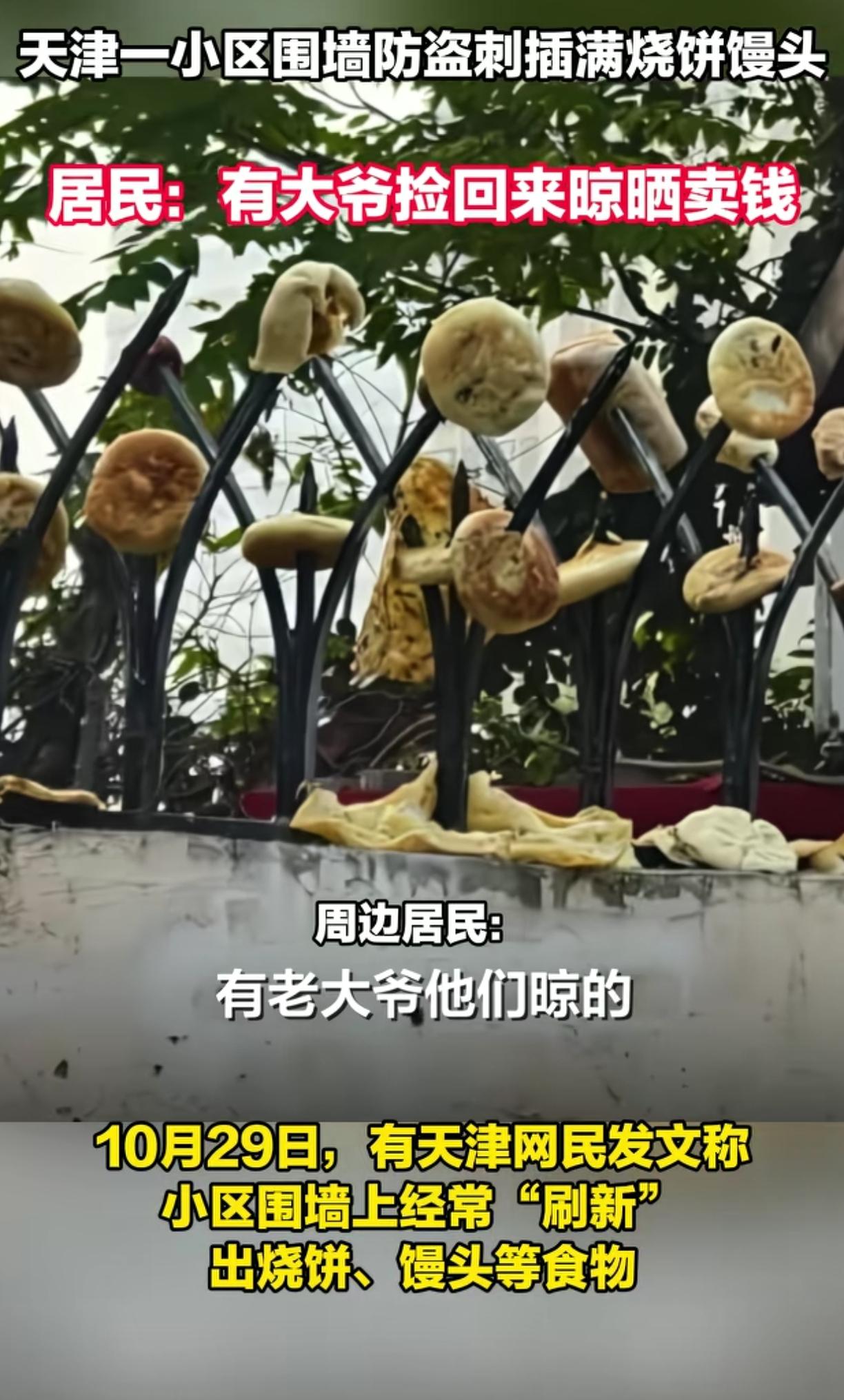 第一次知道垃圾桶里丢弃的面包，馒头，烧饼，米饭，剩菜晒干了还可以卖钱，还有专门的