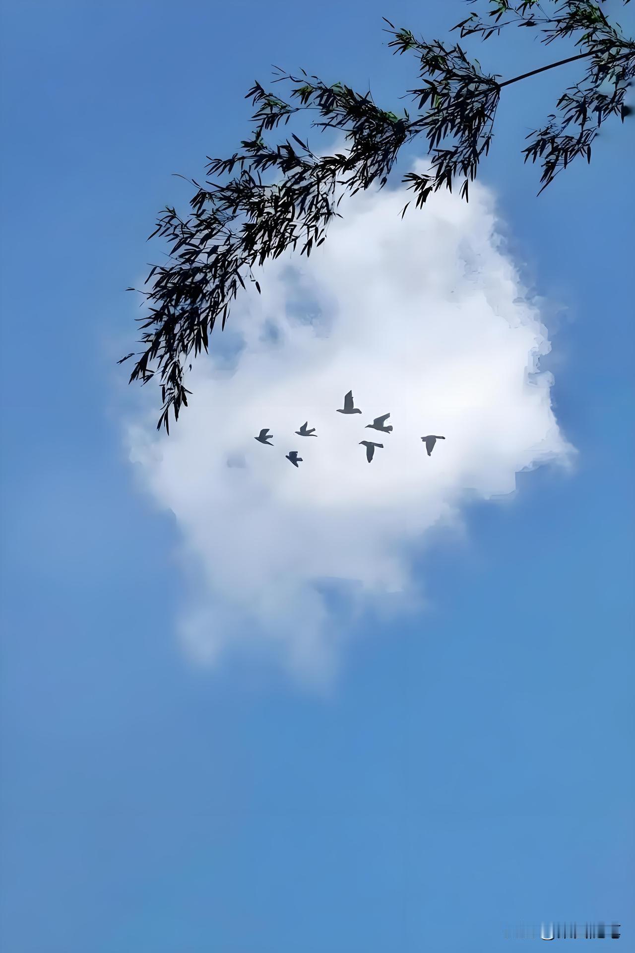 都说养儿防老，可真到了开口那天，那话比石头还沉。邻居张姨上个月住院，女儿垫了五