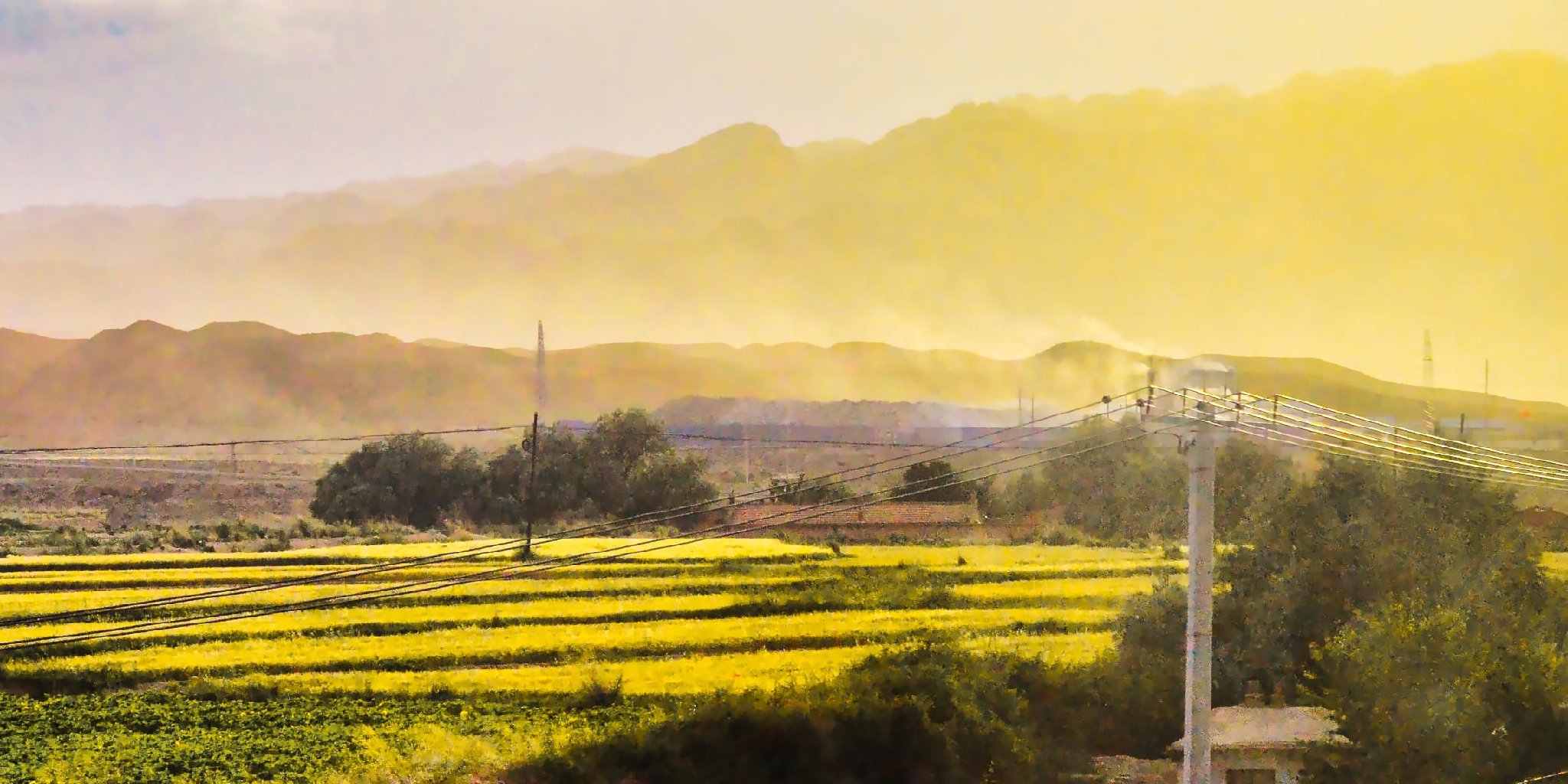 农业农村部召开常务会议研究部署学习运用“千万工程”经验、推进乡村全面振兴等工作