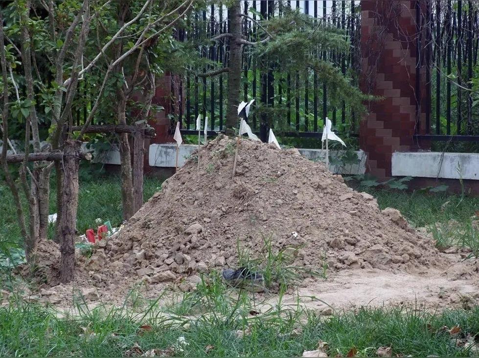 今天村里一个光棍汉走了，刚刚四十岁，令人惋惜。光棍汉一年前觉得身体不适，在妈