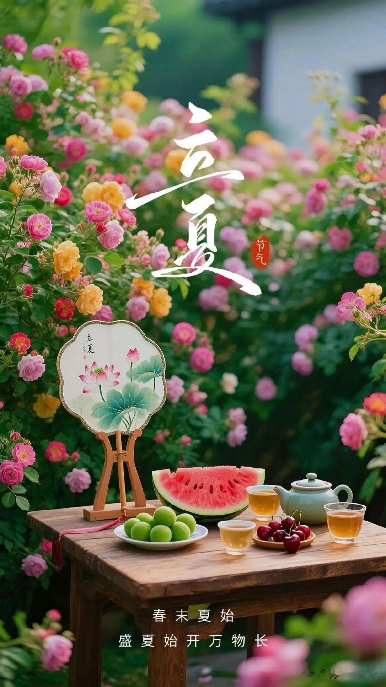🪷立夏快乐｜周二早安☕️🍃🍎春华渐逝，夏韵初生，万物由生渐长，在暖阳清风