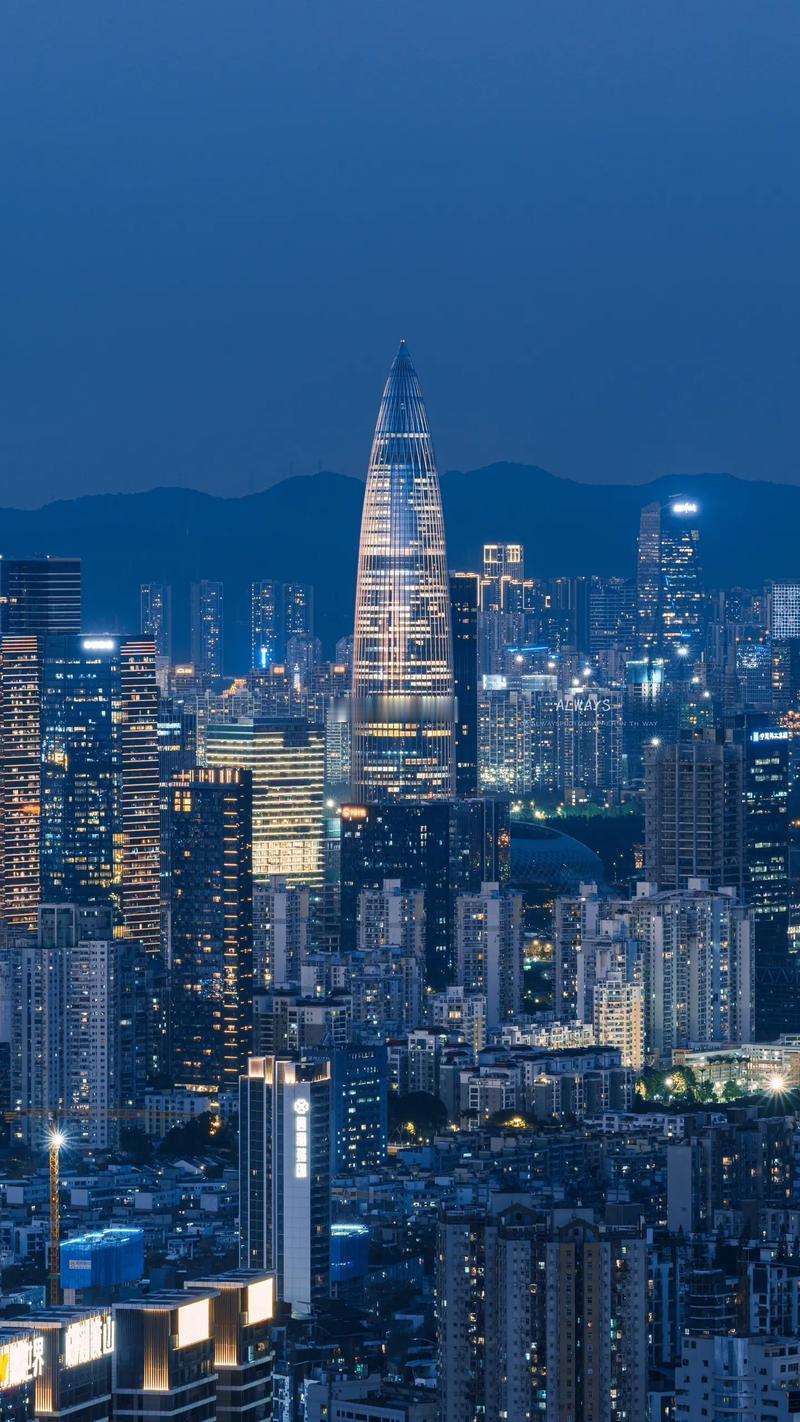 南山是深圳豪宅含金量最高的区域，先后诞生了华侨城、深圳湾和蛇口豪宅区。2000年