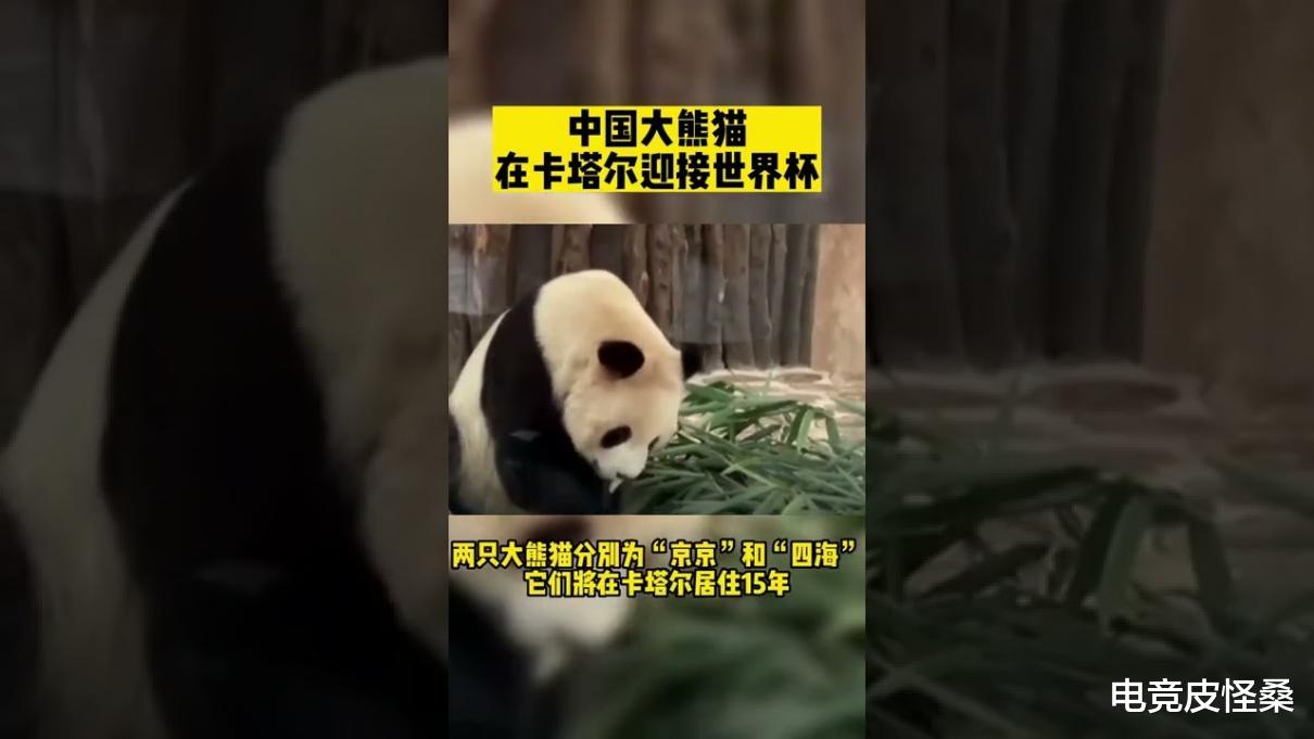 世界杯除了中国队全都去了? 西山居: 中国武侠手游也不能缺席!