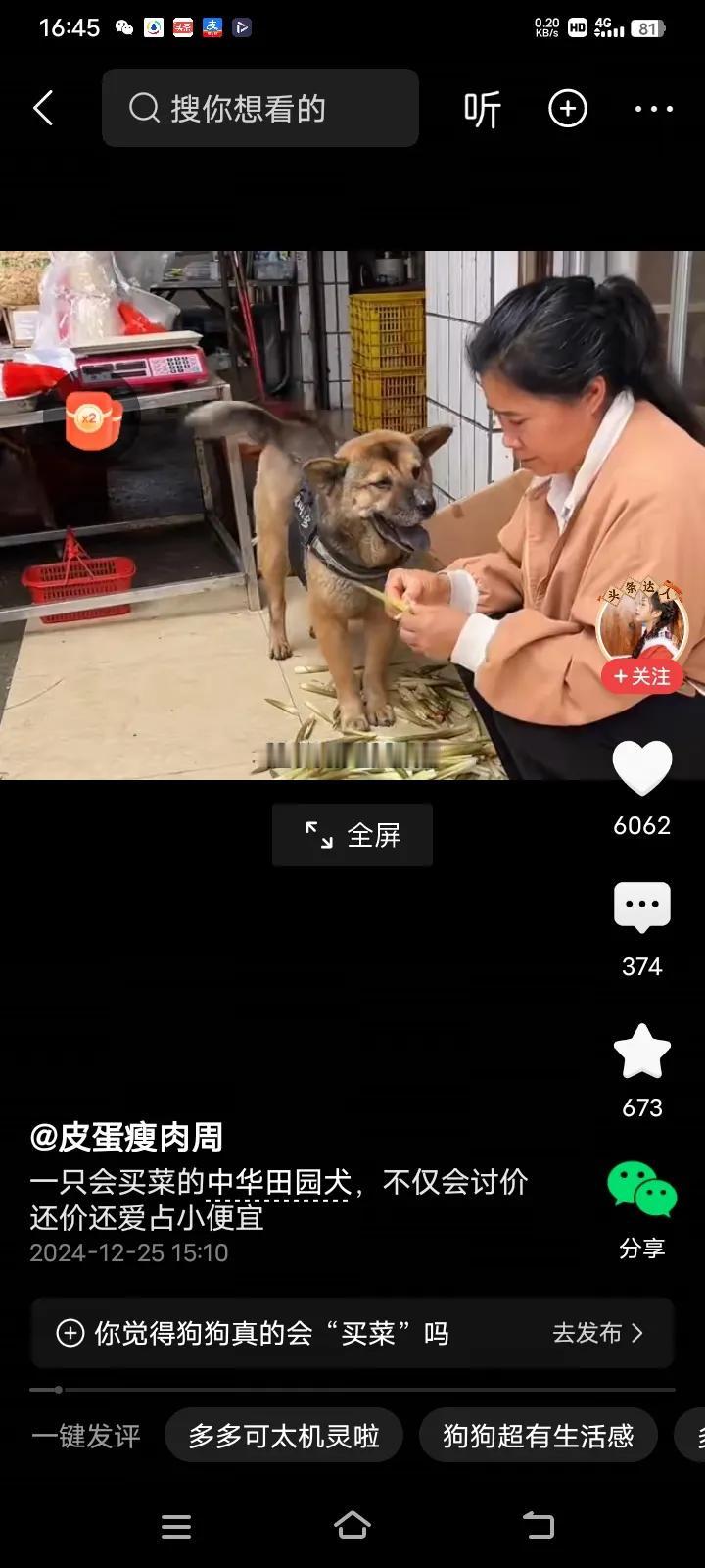 万万没想到的是，一只会买菜的中华田园犬，它不仅能听懂主人说的话，而且还能帮忙主人