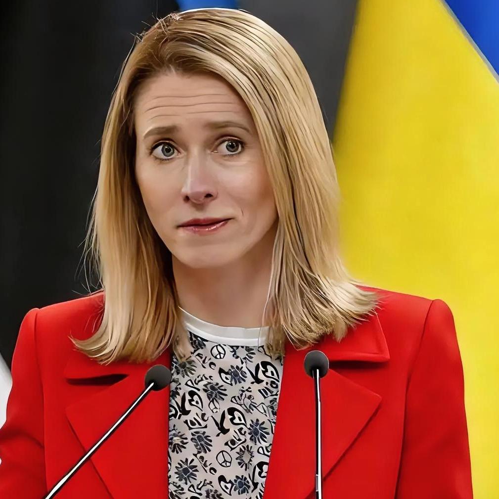 早干嘛去了！欧盟今天突然宣布：1月28日，欧盟最高外交官卡拉斯宣称：欧盟防御