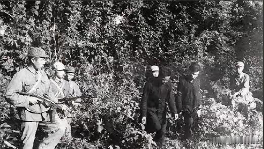 1949年，地下党刘萍去平度参加一个秘密会议。回程路上，突然钻出10多个敌特，用