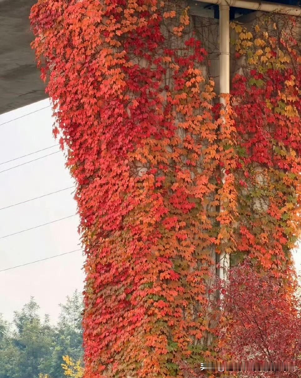 跟娘家人不想来往，全是算计和比较，心累；跟婆家人不想来往，话不投机还得装客气；