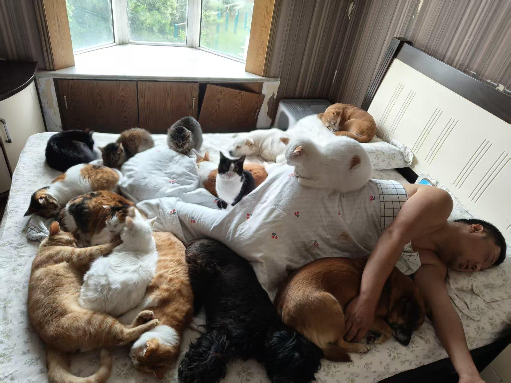 3. 人类：我睡哪？毛孩子：睡中间就行。从一只两只，到现在一床的小家伙...